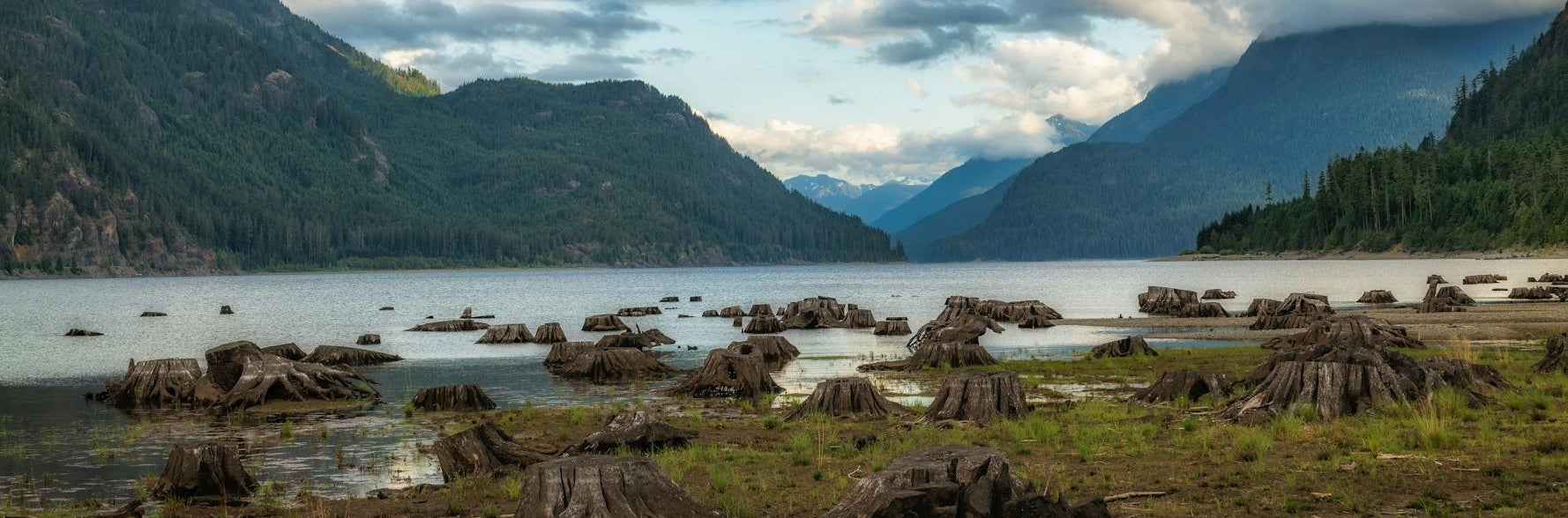 Scenic view of a lake with tree stumps and mountains under a cloudy sky.
