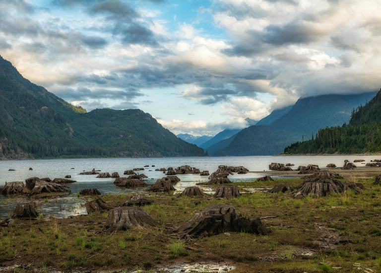 Scenic view of a lake with tree stumps and mountains under a cloudy sky.